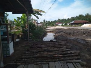 Maraknya Proyek "Siluman" di Pulau Rupat 2