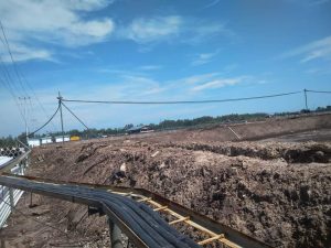 DLH dan Polhut Riau Tinjau Lokasi Tambak Udang Pantai Ketapang 4