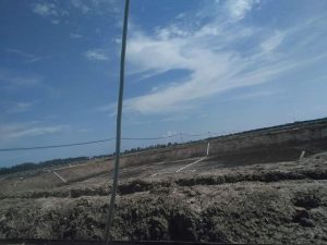DLH dan Polhut Riau Tinjau Lokasi Tambak Udang Pantai Ketapang 3