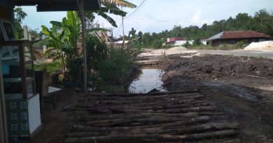 Maraknya Proyek "Siluman" di Pulau Rupat 6