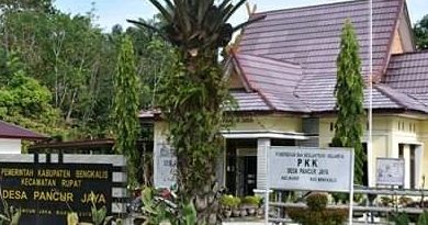 Diduga Praktik KKN Marak di desa Pancur Jaya 5