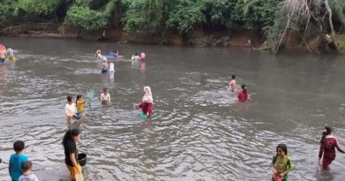 Akibat Limbah PKS Ratusan Ikan Terapung di Sungai Batang Kumu 6