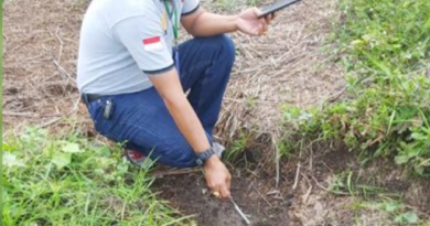 BBKSDA Riau Cek Penemuan Jejak Harimau di Tenayan 5