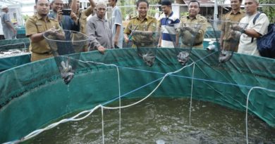 DKPP Rohul Budidayakan Ikan Lele Sistem Bloflok di Pedantren 4