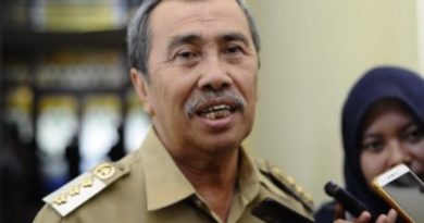 Gubernur Riau Kecewa Kepala Daerah Tolak PSBB, Jangan Mementingkan Diri Sendiri 5