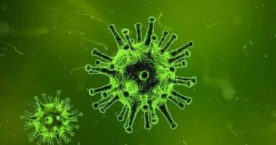 UPDATE Virus Corona Dunia, 20 April 2020: Lebih dari 2,4 Juta Kasus, Kabar Baiknya 616.870 Sembuh 6