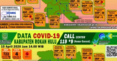 Perkembangan Penanganan Virus Covid-19 Kabupaten Rohul 6