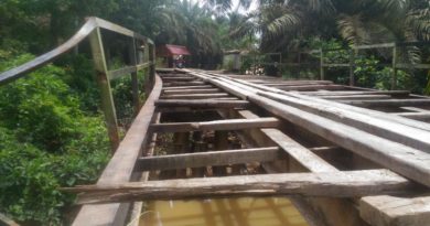 Rusaknya Jembatan Sei Munding, Kadis PUPR: " Kita Sudah Perintahkan UPTD Segera Diperbaiki 4