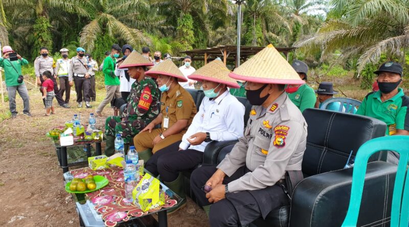 Launcing Kampung Tangguh Nusantara Dalam Rangka Gerakan Jaga Kampung Desa di Desa Kepenuhan Raya 1