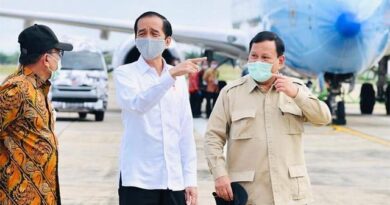 Jokowi Beri Tugas Prabowo Tanam Singkong di Lahan 30 Ribu Hektare 6