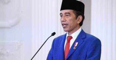 Jokowi Minta Penanganan Corona Fokus di 12 Kab/Kota: Jaksel, Depok, hingga Ambon 6