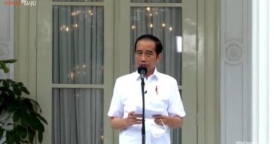 Jokowi Kunker ke Kalimantan Selatan, Tinjau Korban Banjir 6