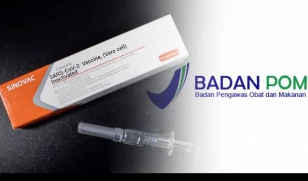 BPOM Dikabarkan Setuju Lansia Terima Suntikan Vaksin Sinovac, Ini Rentang Usia dan Interval Dosisnya 1