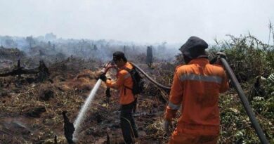 55,71 Hektare Terbakar, BPBD Pinjam Tiga Helikopter ke BNPB 4