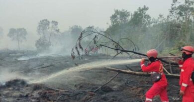 Padamkan Karhutla di Bengkalis Riau, Petugas Harus Terobos Hutan Menuju Lokasi Kebakaran 4