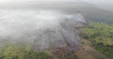 Polda Riau Temukan 143 Titik Api Kebakaran Hutan dan Lahan 5