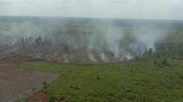 Sudah 18 Hektare Lahan Terbakar, Bengkalis Tetapkan Status Siaga Karhutla 1