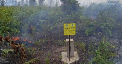 Satupun dari Puluhan Sumur Bor Tidak Bisa Difungsikan di Hutan GSK yang Rawan Kebakaran 5