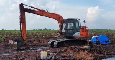 Ditreksmsus Polda Riau Tangkap Satu Pelaku Penggarap 60 Hektar Lahan HPT 4