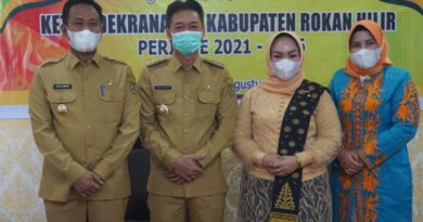 Ketua Dewan Kerajinan Nasional Daerah Propinsi Riau Melantik 9 Orang Ketua Dektanasda Kabupaten Kota Seriau 5
