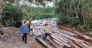 Pelaku Ilegal Logging Komplotan 'Anak Jenderal' Digulung, Polda Riau Sita 10 Ton Kayu 4