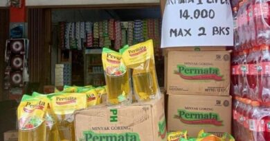 Pastikan Harga Minyak Goreng Murah, Besok Disperindagkop dan Satgas Pangan Riau Sidak ke Pasar Tradisional 6