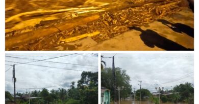 Banjir Susulan Disertai Ribuan Kubik Kayu dan Lumpur Ratusan Pemukiman Digenangi Air 4