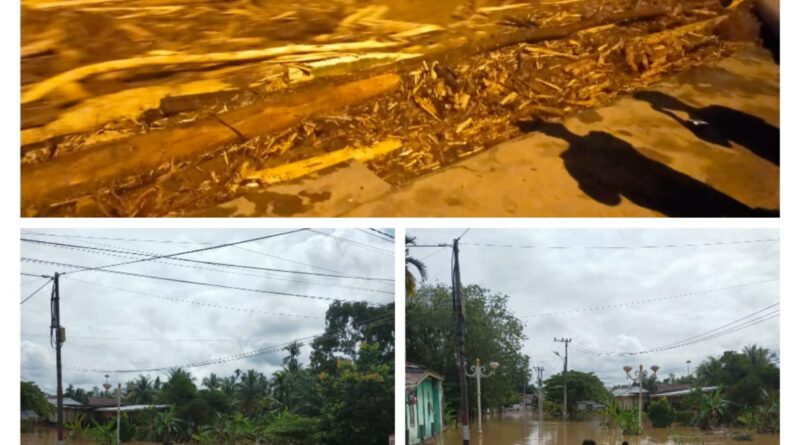 Banjir Susulan Disertai Ribuan Kubik Kayu dan Lumpur Ratusan Pemukiman Digenangi Air 1