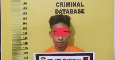 Maling Buah Kelapa Sawit Di Tambusai pemuda ini Diringkus Polisi 4