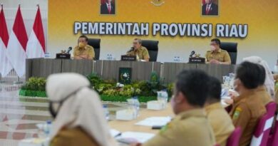 Riau Jadi Percontohan Pengembangan Ekonomi dan Keuangan Syariah di Indonesia 6
