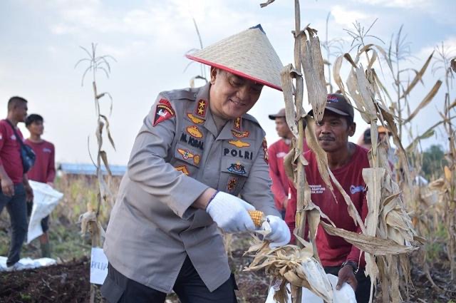 Irjen Iqbal Lakukan Panen Perdana Tanaman Hortikultura di Lahan Polda Riau 1